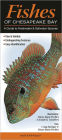 Fishes of Chesapeake Bay: A Guides to Freshtwater and Saltwater Species