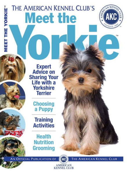 Meet the Yorkie