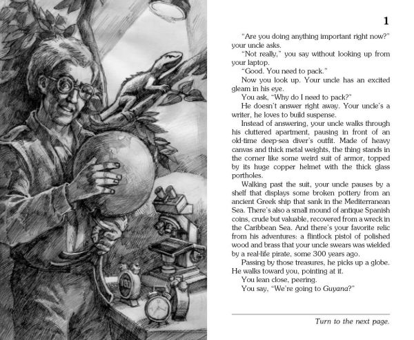 Curse of the Pirate Mist (Choose Your Own Adventure #39)