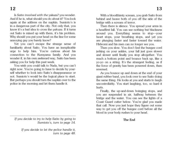 The Lost Ninja (Choose Your Own Adventure)