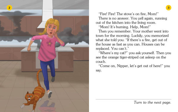 Fire! (Choose Your Own Adventure: A Dragonlark Book)