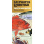 Saltwater Sportfish of the Pacific Northwest: Monterey to Alaska