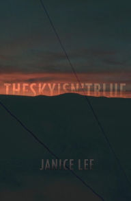 Title: The Sky Isn't Blue, Author: Janice Lee