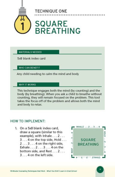 15-Minute Counseling Techniques that Work: What You Didn't Learn in Grad School
