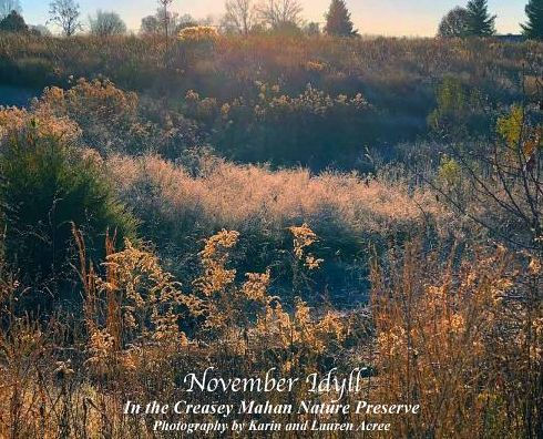 November Idyll: In the Creasey Mahan Nature Preserve