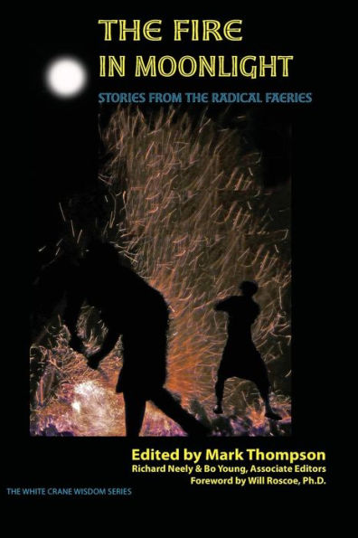 The Fire in Moonlight: Stories from the Radical Faeries