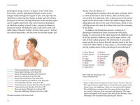 Alternative view 2 of Face Reading: Self-Care and Natural Healing through Traditional Chinese Medicine