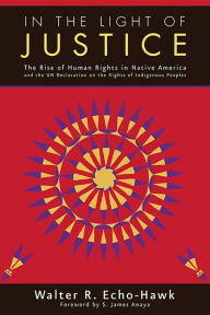 Title: In the Light of Justice: The Rise of Human Rights in Native America and the UN Declaration on the Rights of Indigenous Peoples, Author: Walter R. Echo-Hawk