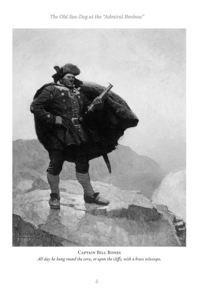 Treasure Island: Illustrated by N.C. Wyeth & Louis Rhead