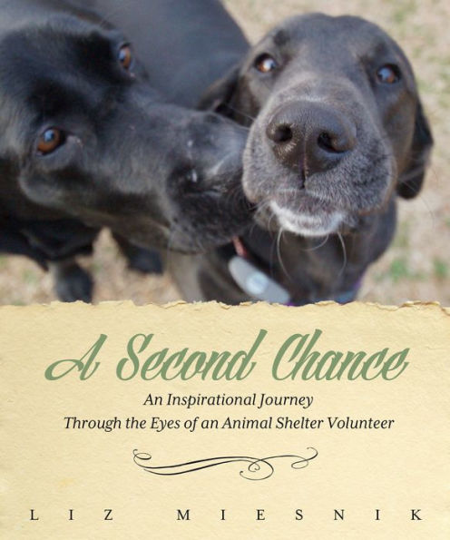 A Second Chance: An Inspirational Journey through the Eyes of an Animal Shelter Volunteer