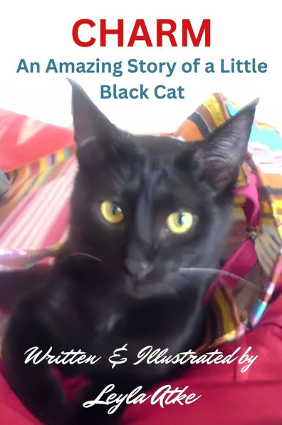 Charm: An Amazing Story of a Little Black Cat