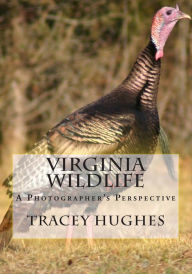 Title: Virginia Wildlife: A Photographer's Perspective, Author: Tracey Y Hughes