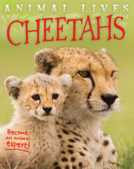 Title: Cheetahs, Author: Sally Morgan