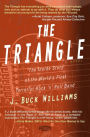 The Triangle: The True Inside Story of the World's First Terrorist Rock and Roll Band