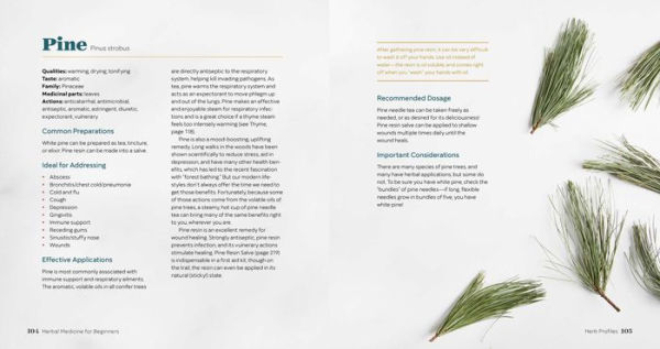 Herbal Medicine for Beginners: Your Guide to Healing Common Ailments with 35 Medicinal Herbs