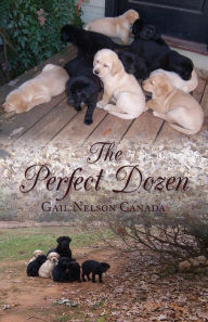 Title: The Perfect Dozen, Author: Gail Nelson Canada