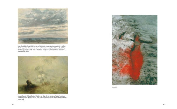 Painting is a Supreme Fiction: Writings by Jesse Murry, 1980-1993