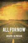 All For Now: A Novel