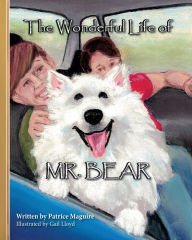 Title: The Wonderful Life of Mr. Bear, Author: Patrice Maguire