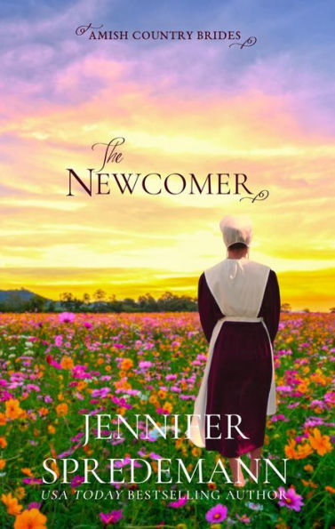 the Newcomer (Amish Country Brides): Prequel to Amish Brides Series