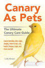 Canary As Pets: Canary breeding, diet, cages, singing, where to buy, cost, health, lifespan, types, and more covered! The Ultimate Canary Care Guide