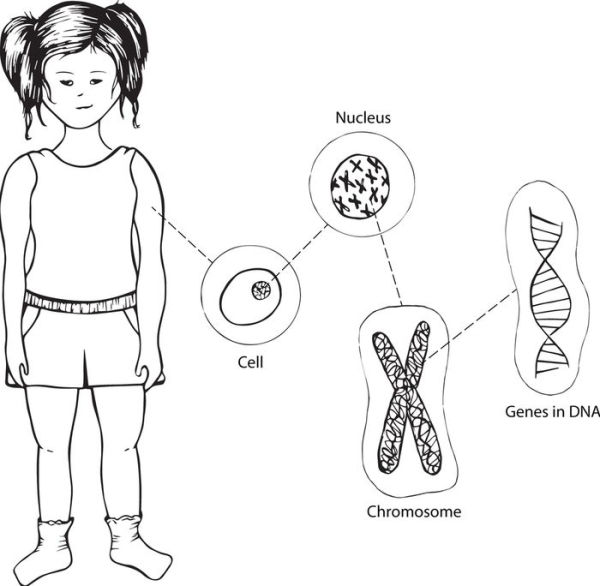 Childhood Leukemia: A Guide for Families, Friends & Caregivers