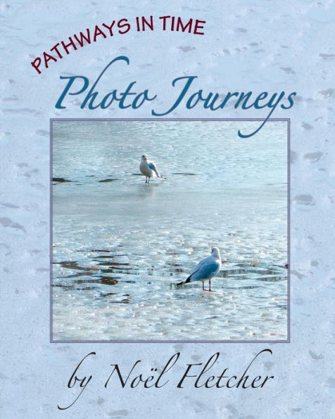 Pathways in Time: Photo Journeys