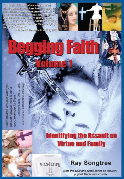 Begging Faith (Vol. 1, Lipstick and War Crimes Series): Identifying the Assault on Virtue Family