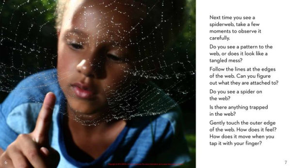 Next Time You See a Spiderweb