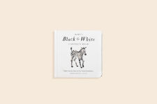 Alternative view 17 of Baby's Black and White Contrast Book: High-Contrast Art for Visual Stimulation at Tummy Time