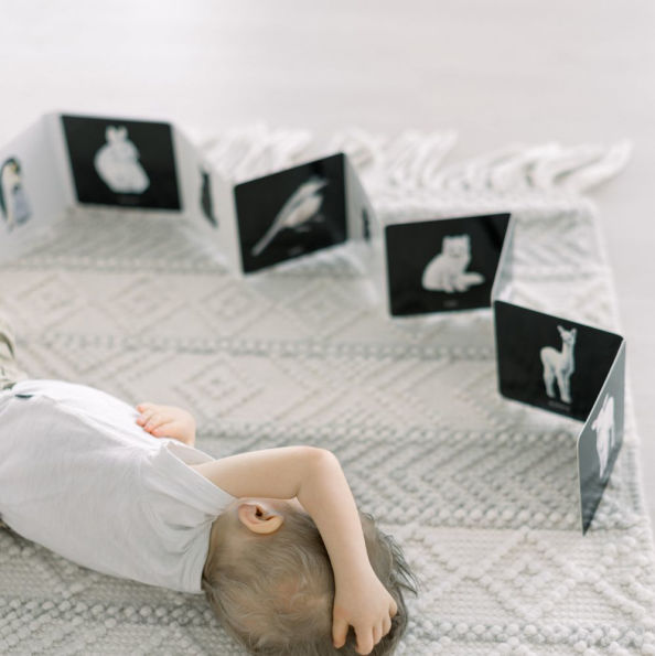 Baby's Black and White Contrast Book: High-Contrast Art for Visual Stimulation at Tummy Time