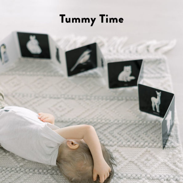 Baby's Black and White Contrast Book: High-Contrast Art for Visual Stimulation at Tummy Time