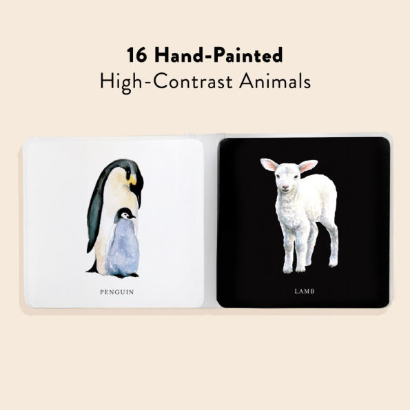 Baby's Black and White Contrast Book: High-Contrast Art for Visual Stimulation at Tummy Time