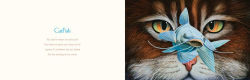 Alternative view 12 of You Stole My Name: The Curious Case of Animals with Shared Names (Picture Book)