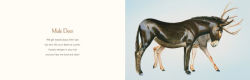 Alternative view 15 of You Stole My Name: The Curious Case of Animals with Shared Names (Picture Book)
