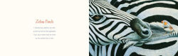 Alternative view 16 of You Stole My Name: The Curious Case of Animals with Shared Names (Picture Book)