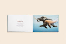Alternative view 20 of You Stole My Name: The Curious Case of Animals with Shared Names (Picture Book)
