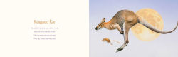 Alternative view 2 of You Stole My Name: The Curious Case of Animals with Shared Names (Picture Book)