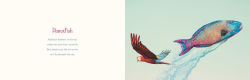 Alternative view 4 of You Stole My Name: The Curious Case of Animals with Shared Names (Picture Book)