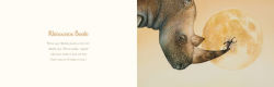 Alternative view 5 of You Stole My Name: The Curious Case of Animals with Shared Names (Picture Book)