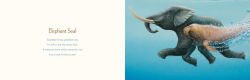 Alternative view 7 of You Stole My Name: The Curious Case of Animals with Shared Names (Picture Book)