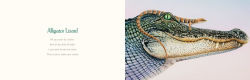Alternative view 8 of You Stole My Name: The Curious Case of Animals with Shared Names (Picture Book)