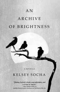 Title: An Archive of Brightness, Author: Kelsey Socha