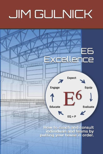 E6 Excellence: How to Coach and Consult Individuals and Teams by Putting Your House in Order.