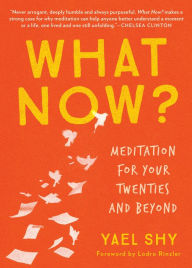 Title: What Now?: Meditation for Your Twenties and Beyond, Author: Yael Shy