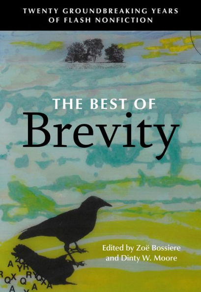 The Best of Brevity: Twenty Groundbreaking Years Flash Nonfiction