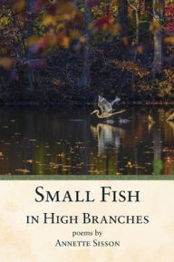 Title: Small Fish in High Branches, Author: Annette Sisson