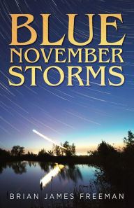 Downloading google ebooks nook Blue November Storms in English 9781941971314