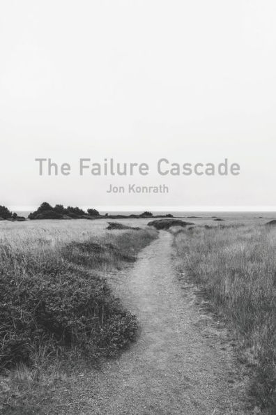 The Failure Cascade