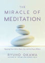 The Miracle of Meditation: Opening Your Life to Peace, Joy, and the Power Within